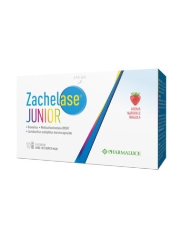 Zachelase Junior Equilibrio Flora Intestinale